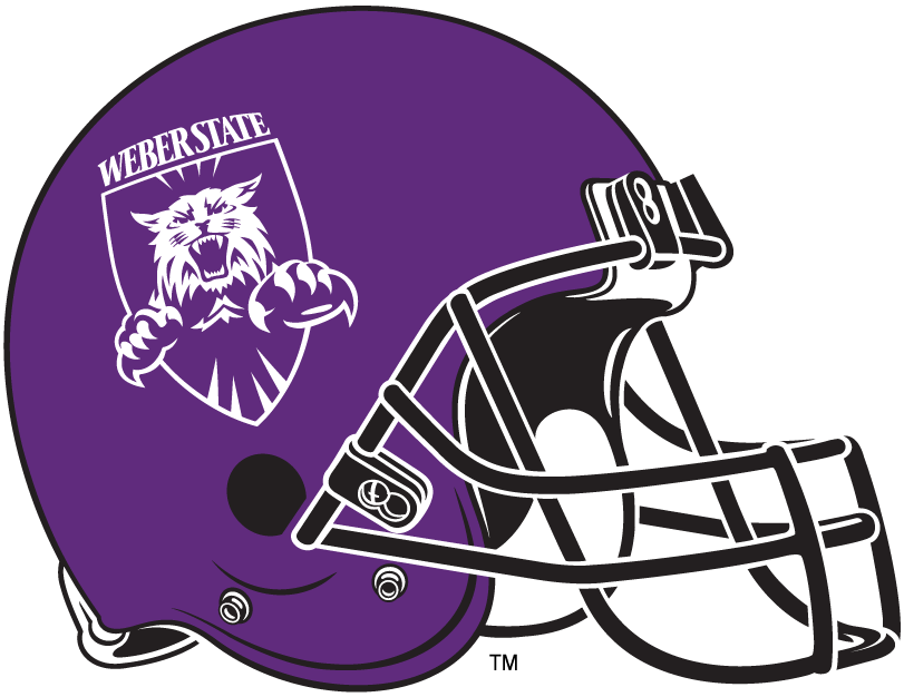 Weber State Wildcats 2006-2011 Helmet Logo iron on transfers for clothing